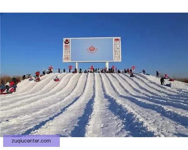 65场规则优化方案提出四大修改建议更合理吗