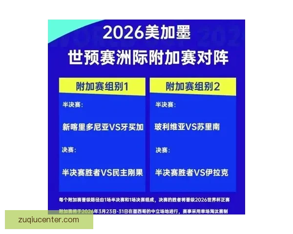 以2026世界杯比赛场地为中心串联北美城市文化与足球激情的盛会图景